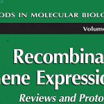 Recombinant Gene Expression Book