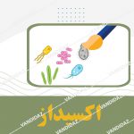 تست اکسیداز