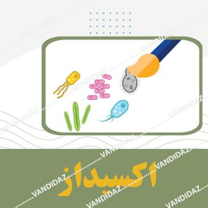 فروش تست اکسیداز