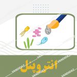 کیت انتروپنل