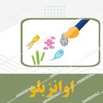 اوانزبلو
