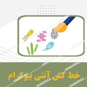 فروش خطكش آنتي بيوگرام