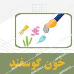 خون گوسفندی