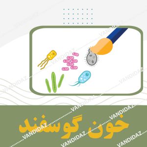 فروش خون گوسفندی