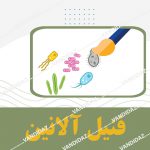 فنیل آلانین