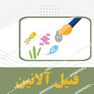 فروش فنیل آلانین