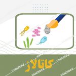 تست كاتالاز