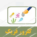 معرف کلروفریک