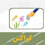 معرف کواکس