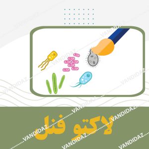 فروش معرف لاکتو فنل کاتن بلو