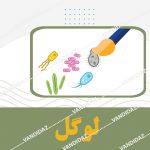 معرف لوگل