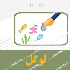 فروش معرف لوگل