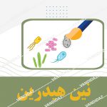 نین هیدرین