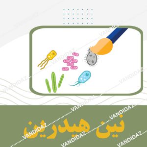 فروش نین هیدرین