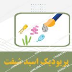 کیت رنگ آمیزی پریودیک اسید شیفت (PAS)