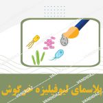 پلاسمای ليوفيليزه خرگوش