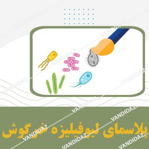 فروش پلاسمای ليوفيليزه خرگوش