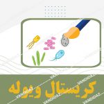 کریستال ویوله