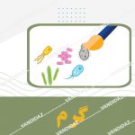 کیت رنگ آمیزی گرم
