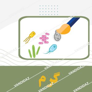 کیت رنگ آمیزی گرم