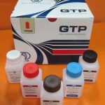 کیت استخراج DNA ژنومی مخمری پیشگامان انتقال ژن