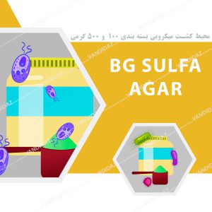 محیط کشت BG  sulfa agar