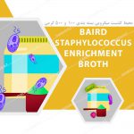 محیط کشت میکروبی Baird Staphylococcus Enrichment Broth Base