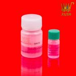 بافر کیت استخراج DNA روژه تکنولوژی GLB, 1X