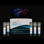 کیت Real-Time PCR برای بررسی microRNAlet7a انسانی