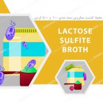 محیط کشت لاکتوز سولفیت براث – Lactose Sulfite