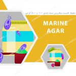 محیط کشت مارین آگار – Marine