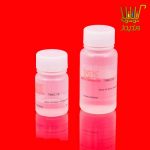 بافر کیت استخراج RNA روژه تکنولوژی TWB1, 1X