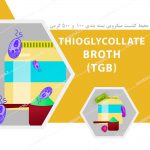 محیط کشت TGB – تایوگلیکولات براث