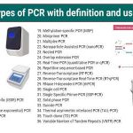 انواع PCR