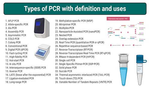 انواع PCR