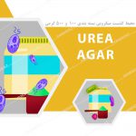 محیط کشت اوره آگار – Urea Agar