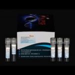 کیت Real-time PCR برای تشخیص ویروس های HSV1 و HSV2