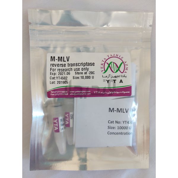 خرید آنزیم رونوشت بردار معکوس M-MLV
