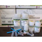 کیت استخراج Total RNA سلول کشت داده شده و خون یکتا تجهیز