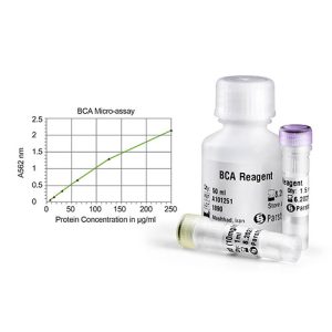 خرید BCA Protein Quantification Kit پارس توس