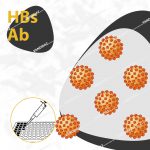 کیت الایزا Hbs آنتی بادی