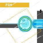کیت الایزا FSH