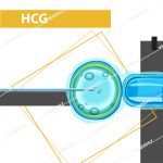 رپید تست بارداری (hCG)