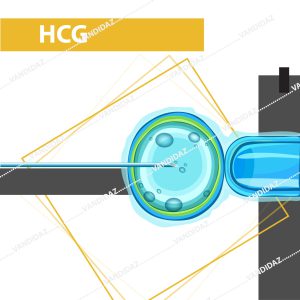 تصوری شماتیک از تست HCG