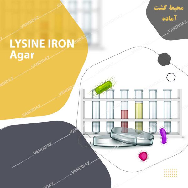 محیط کشت آماده Lysine-Iron-Agar
