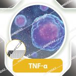 کیت الایزا TNF الفا موشی