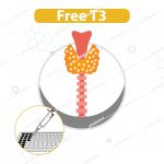 کیت الایزا Free T3