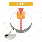 کیت الایزا PTH