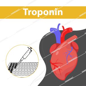 عکس گرافیکی پنل تست الایزا تروپونین