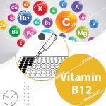 کیت الایزا ویتامین B12